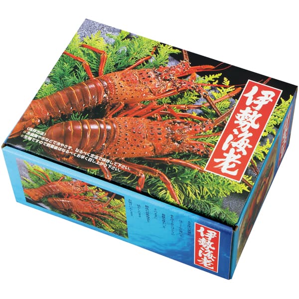 三重 ヤマソ水産 三重県志摩浜島産 活伊勢海老2尾入り 700g以上【CB】　商品画像1