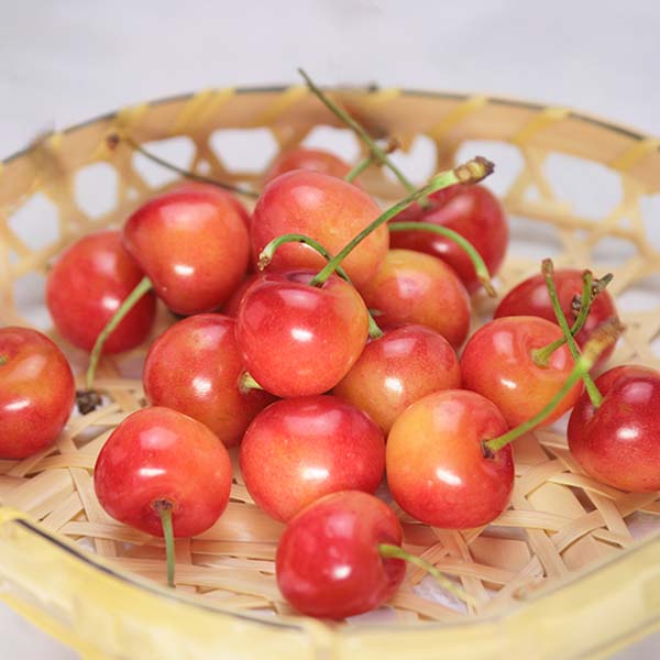 山形県産 佐藤錦または紅秀峰 丸秀品、M以上、720g【限定250点】【お届け期間：6月14日〜7月1日】【Ａセレクション5月】　商品画像1