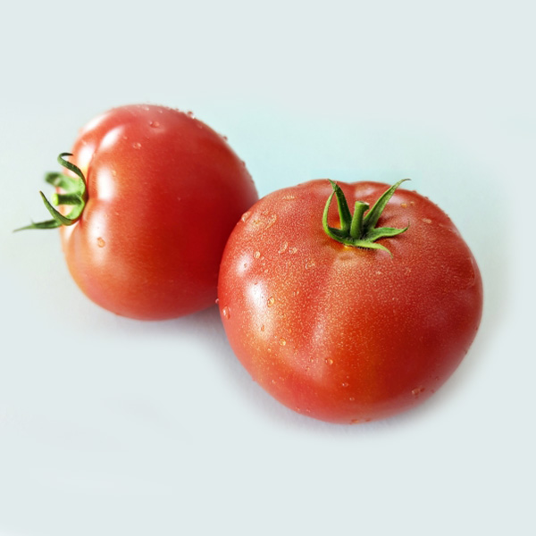 大阪府産 フルーツトマト極 800g以上【お届け期間:4月20日〜6月20日】【NN】 商品画像1