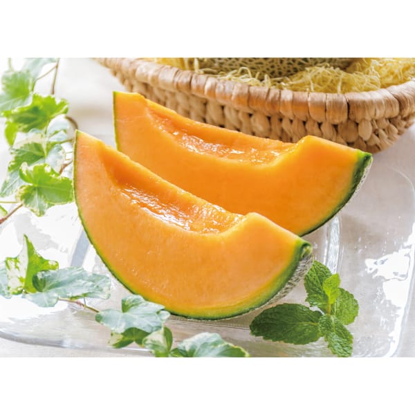 北海道(JAとまこまい広域) アサヒメロン 優品2L1玉(1.6kg×1(赤肉))【お届け期間:6月18日〜6月30日】【MK】　商品画像1