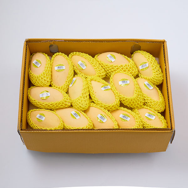 空輸直送 タイ産マンゴー(ナムドクマイ種) 15玉【お届け期間：5月1日〜6月15日】【GW】　商品画像1