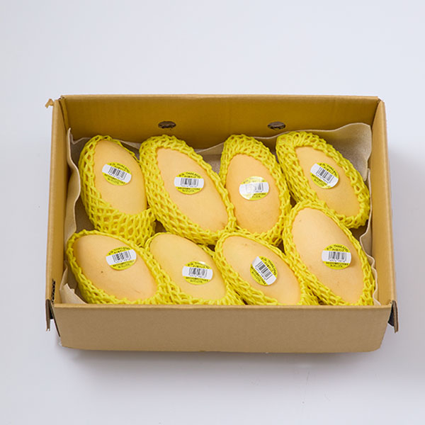 空輸直送 タイ産マンゴー(ナムドクマイ種) 8玉【お届け期間：5月1日〜6月15日】【GW】　商品画像1