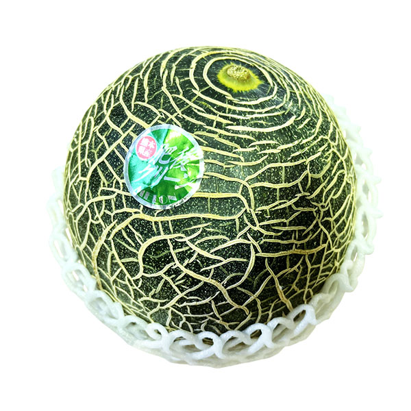 熊本県産永松農園の肥後グリーンメロン計1.8kg(1玉入り)【お届け期間:5月20日〜6月30日】【旬鮮便】【NN】 商品画像1