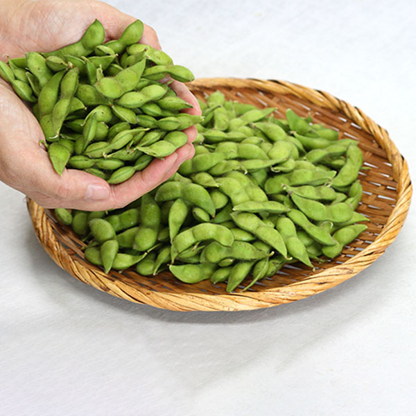 山形県産(鶴岡市白山)JAS有機栽培 だだちゃ豆 1.2kg【限定100点】【お届け期間：8月15日〜8月31日】【おいしいお取り寄せ】　商品画像1