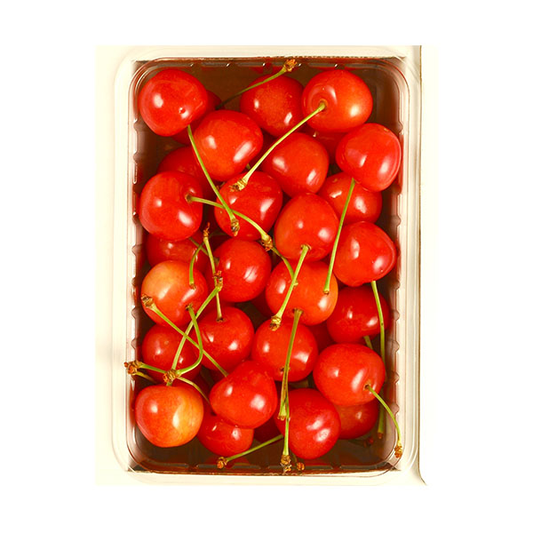 北海道産さくらんぼ(佐藤錦又は紅秀峰) 500g【お届け期間：6月20日〜7月30日】【北海道フェア】　商品画像1