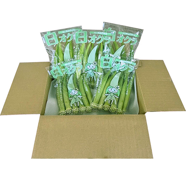 山口県長門市 希少野菜 白オクラ 500g(5袋)【お届け期間：7月22日〜9月25日】【フードアルチザン】　商品画像1