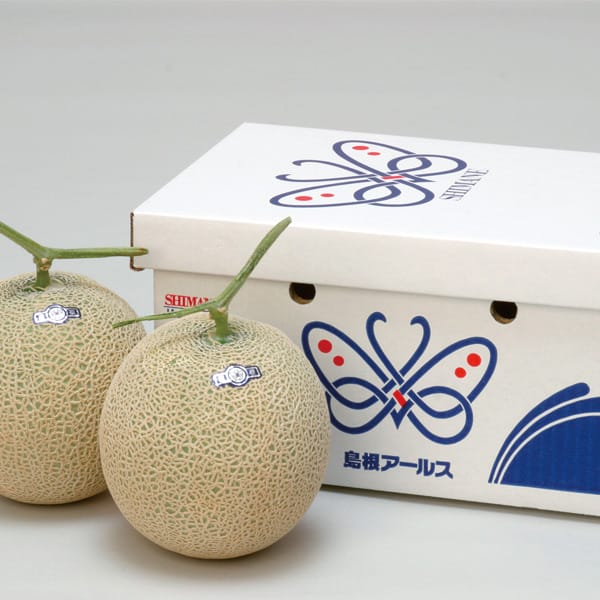 島根県産(JAしまね) アールスメロン化粧箱 青秀以上4Lサイズまたは3Lサイズ・2玉入り【お届け期間:7月5日〜8月11日】【旬鮮便】【NN】　商品画像1