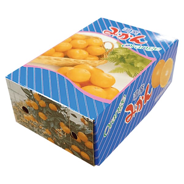 愛媛県産(JAえひめ中央) ハウスみかん 良品以上、M〜2Sサイズ、1kg【お届け期間:8月1日〜9月30日】【旬鮮便】【NN】　商品画像1