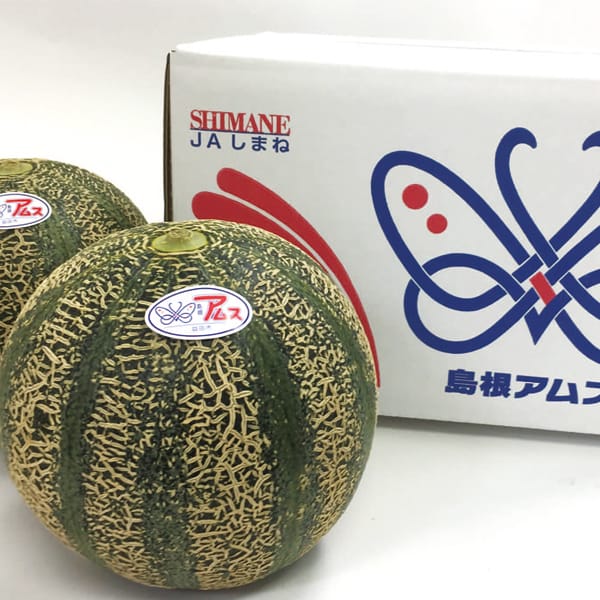 島根県産(JAしまね) アムスメロン化粧箱 青秀以上4Lサイズまたは3Lサイズ・2玉入り【お届け期間:6月1日〜7月28日】【旬鮮便】【NN】　商品画像1