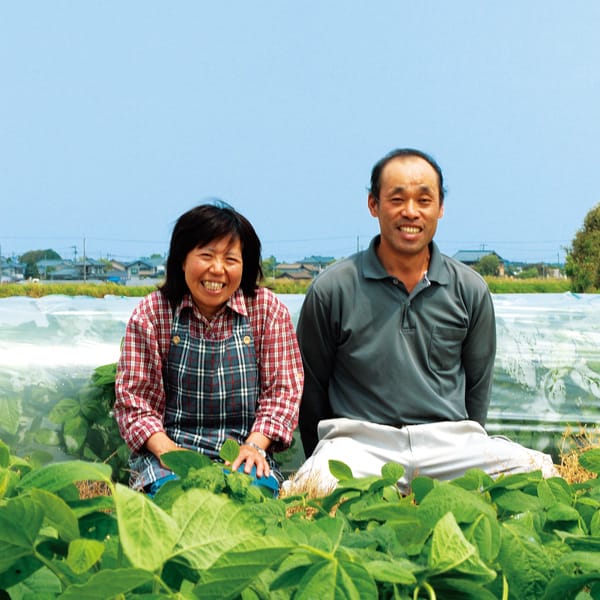 新潟県新潟市黒埼地区産 武田さん家のくろさき茶豆 2kg入箱(1kg以上入×2袋)【お届け期間:7月28日〜8月20日】【KN】 商品画像1