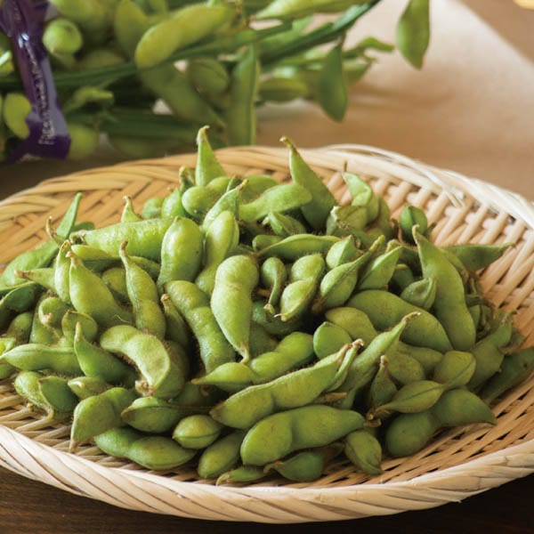 新潟県産(JAえちご中越) 越後はちこく茶豆 1kg入箱(250g以上×4袋入)【お届け期間:7月1日〜7月25日】【KN】 商品画像1