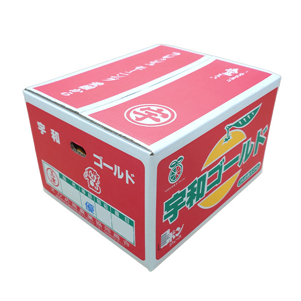 愛媛県 JAえひめ南 宇和ゴールド 6kg 優品以上 4L〜2L【お届け期間:5月7日〜5月31日】【GW】【NN】　商品画像1