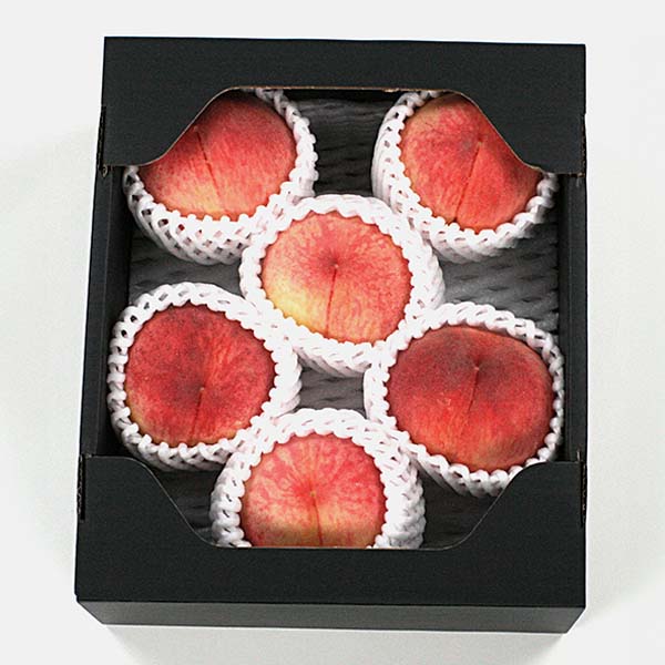 福島県産 もも さくら白桃 1.5kg【限定100点】【お届け期間：9月1日〜9月30日】【おいしいお取り寄せ】　商品画像1