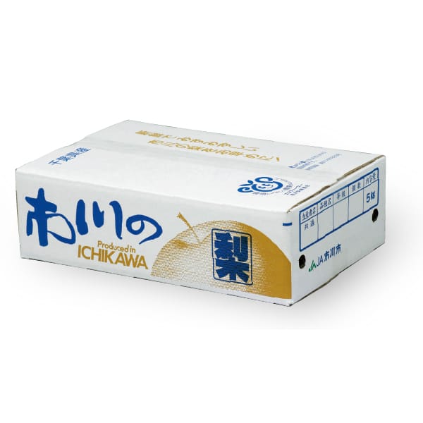 千葉県市川市(カネ市地区)産 幸水梨 5kg12・14玉【限定150点】【お届け期間:7/27(月)〜8/25(火)】【MK】　商品画像1