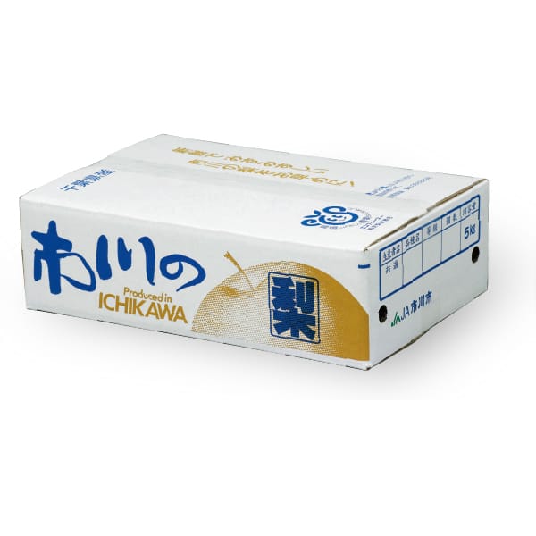 千葉県市川市(カネ市地区)産 豊水梨 3kg5・6・7・8玉【限定300点】【お届け期間:8/22(土)〜9/20(日)】【MK】　商品画像1