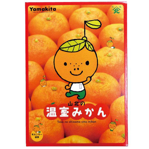 高知県産(JA高知県香我美支所)　山北ハウスみかん　化粧箱　計1.2kg以上・Mサイズ　【お届け期間:6月11日〜8月11日】【従業員感謝WEEK】【NN】　商品画像1