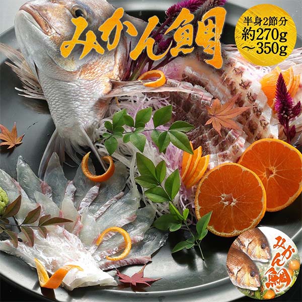 愛媛 株式会社宇和島プロジェクト (半身分)みかん鯛お刺身の柵【超！ナツ夏祭り】【NN】　商品画像1