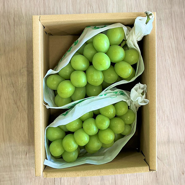 山梨県産(JAふえふき一宮) シャインマスカット ご自宅用  わけあり 2房 計1.1kg【お届け期間：9月1日〜9月25日】【Ａセレクション8月】　商品画像1