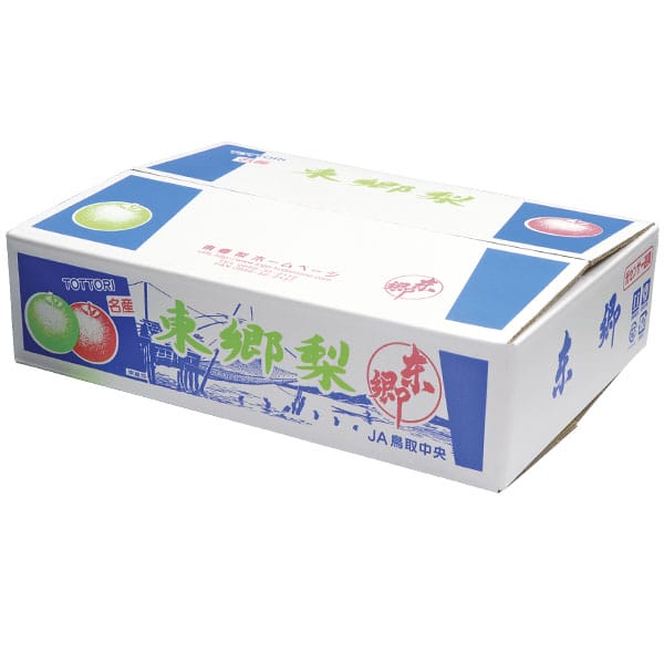 鳥取県産(JA鳥取中央)東郷の二十世紀梨 赤秀5kg 2L16玉または3L14玉または4L12玉または5L10玉【お届け期間:8月28日〜9月25日】【梨ギフト】【NN】　商品画像1