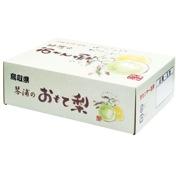 鳥取県産(JA鳥取中央)琴浦の二十世紀梨 赤秀2kg 3L6玉または4L5玉【お届け期間:8月26日〜9月25日】【梨ギフト】【NN】　商品画像1