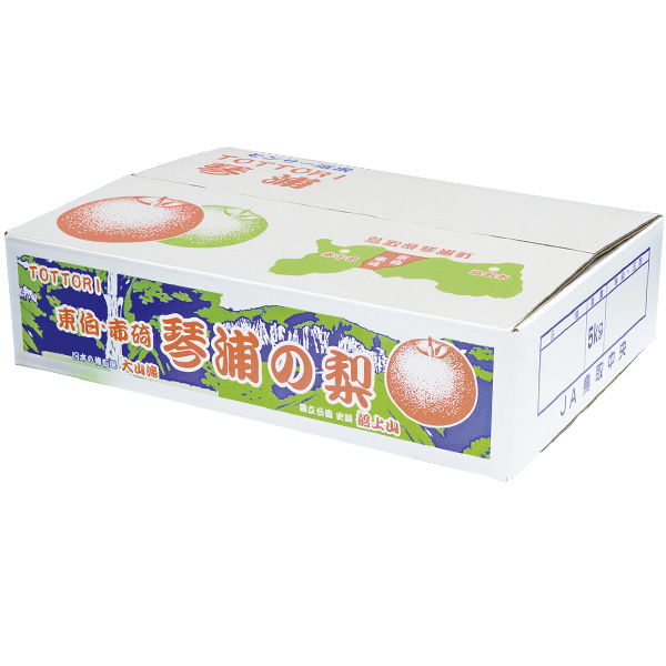 鳥取県産(JA鳥取中央)琴浦の新甘泉梨 赤秀5kg 5L以上10玉または9玉または8玉【お届け期間:8月20日〜9月15日】【梨ギフト】【NN】　商品画像1