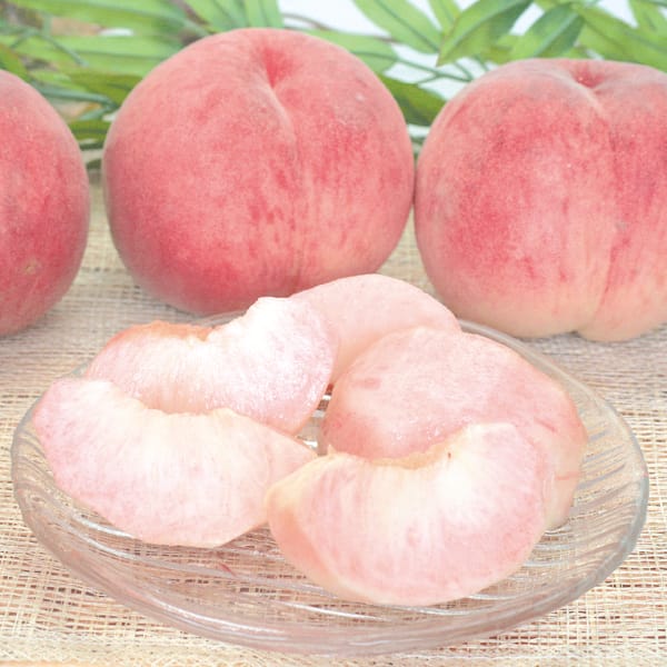 福島県産(JAふくしま未来) 光センサ-選果「あかつき桃」秀品・2kg 【お届け期間:7/25(土)〜8/10(月)】【MK】　商品画像1