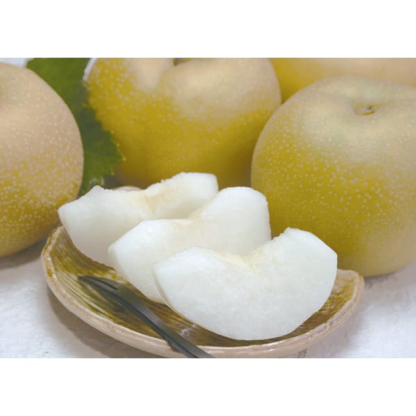 福島県産 幸水梨 秀品・2kg 【お届け期間:8/10(月)〜8/31(月)】【MK】　商品画像1