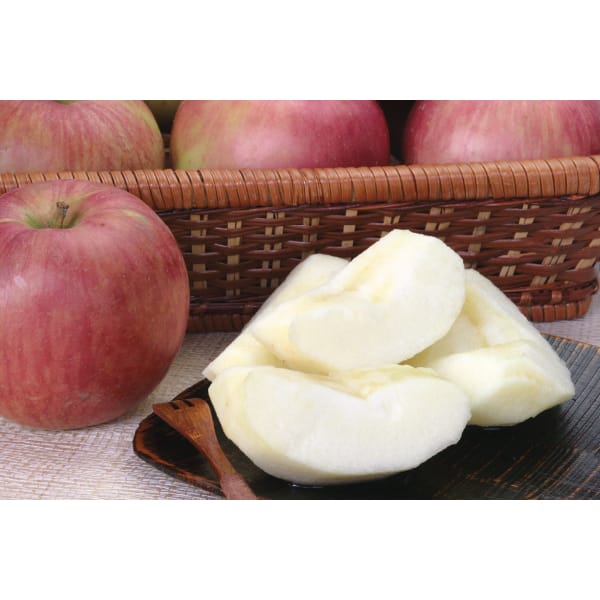 山形県産 サンつがる(りんご) 秀品・5〜7個・2kg 【お届け期間:8/20(木)〜9/15(火)】【MK】　商品画像1