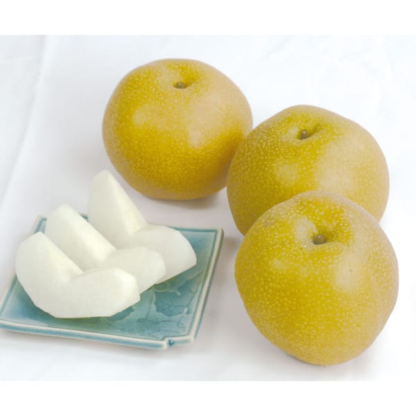 福島県産 豊水梨 秀品・2kg 【お届け期間:9/1(火)〜9/20(日)】【MK】　商品画像1