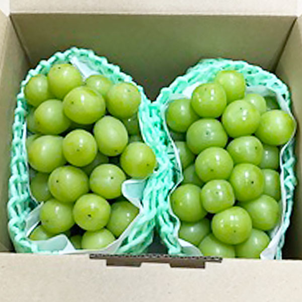 山梨県産(JA南アルプス市) シャインマスカット ご自宅用 赤秀 計1.4kg【限定100点】【お届け期間：9月10日〜9月30日】【サマーセール】　商品画像1
