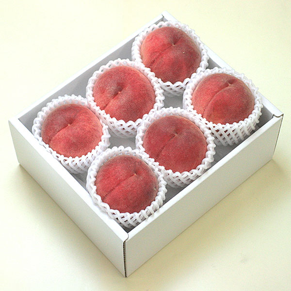 長野県産 田中さん達の白桃 秀品 1.5kg【お届け期間：8月15日〜9月30日】【サマーセール】　商品画像1