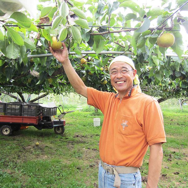 長野県産 なし 幸水または豊水 3kg【お届け期間：8月15日〜9月30日】【サマーセール】　商品画像1
