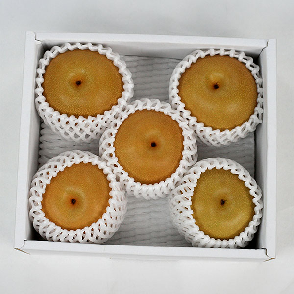 福島県産 豊水梨 1.5kg【限定100点】【お届け期間:9月1日〜9月20日】【サマーセール】 商品画像1