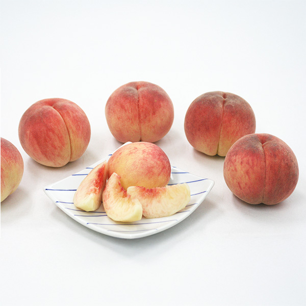 山形県産 美晴白桃 1.5kg【限定100点】【お届け期間：9月3日〜9月20日】【サマーセール】　商品画像1