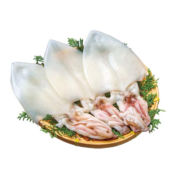 和田珍味 白いか一夜干[S29]【NN】　商品画像1