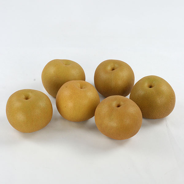 山形県産 梨 1.5kg ご自宅用【お届け期間：9月1日〜9月30日】【お買い得セール8月】　商品画像1