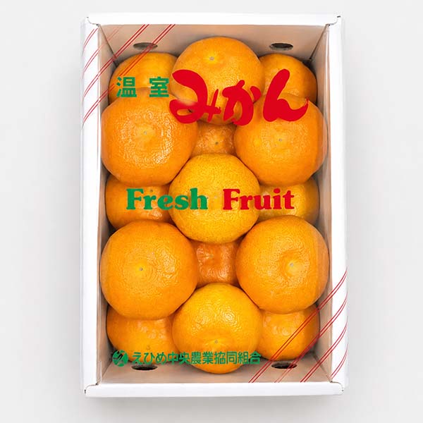 愛媛県産(JAえひめ中央) 温室みかん 1.1kg 青秀品以上 【限定300点】【お届け期間：9月1日〜9月18日】【お買い得セール8月】　商品画像1