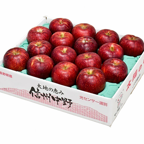 長野県産(JA中野市) りんご 秋映 秀品 5kg(14〜18玉)【お届け期間：10月5日〜10月31日】【秋のうまいもの市】　商品画像1