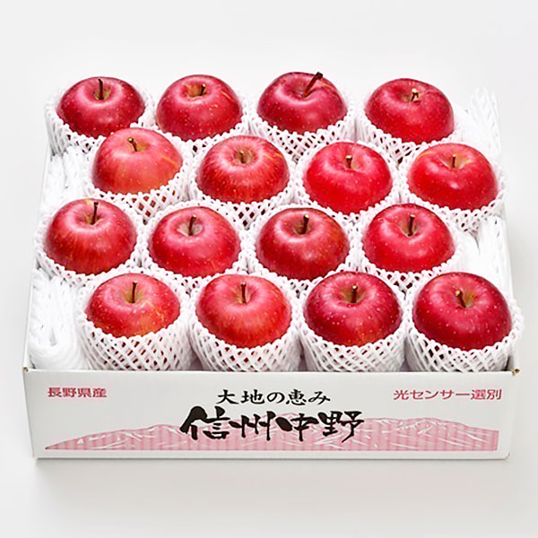 長野県産(JA中野市) りんご サンふじ 秀品 5kg(14〜18玉)【お届け期間：12月5日〜12月29日】【秋のうまいもの市】　商品画像1