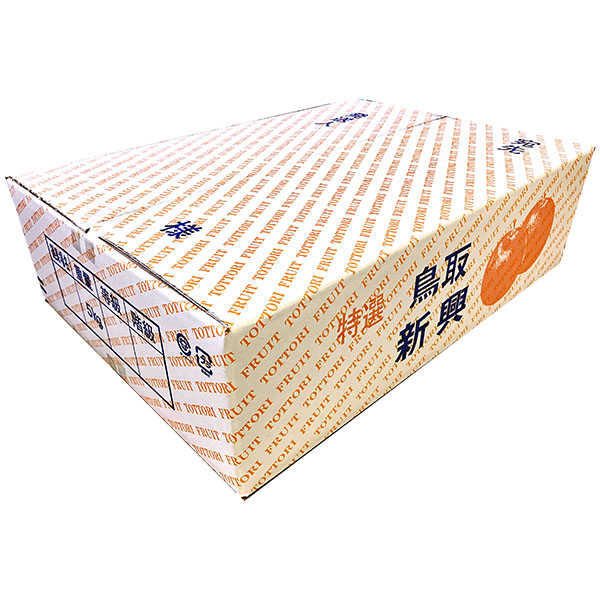 鳥取県産 梨 砂口さんの新興梨【限定50点】【お届け期間：10月1日〜10月31日】【秋のうまいもの市】　商品画像1