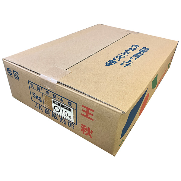鳥取県産 梨 王秋 ○マル 5kg(ご自宅用)【お届け期間：10月15日〜11月20日】【秋のうまいもの市】【おいしいお取り寄せ】　商品画像1