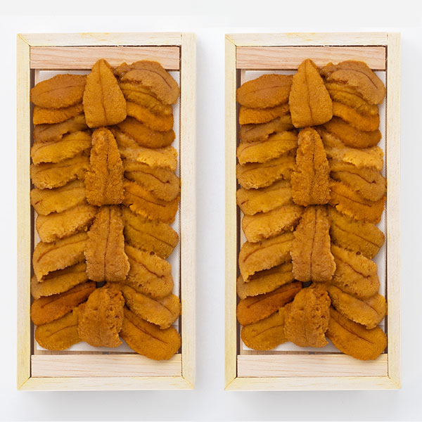 北海道産 冷凍生うに 70g×2折【お届け期間：12月26日〜12月30日】【年末年始ごちそう特集】　商品画像1