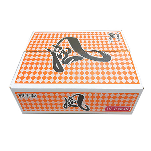愛媛県産(JAにしうわ 川上共撰) 風みかん 5kg L〜Sサイズ【お届け期間:11月20日〜12月28日】【従業員感謝WEEK】 商品画像1
