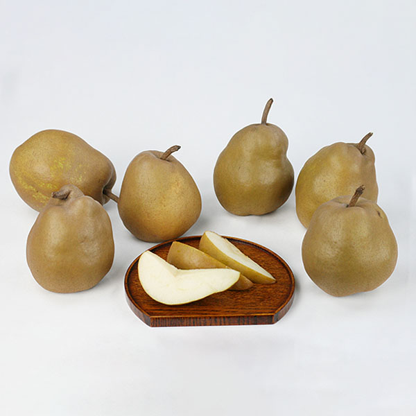 山形県産 ゴールド ラ・フランス 1.5kg【お届け期間：11月10日〜12月28日】【旬鮮便】　商品画像1