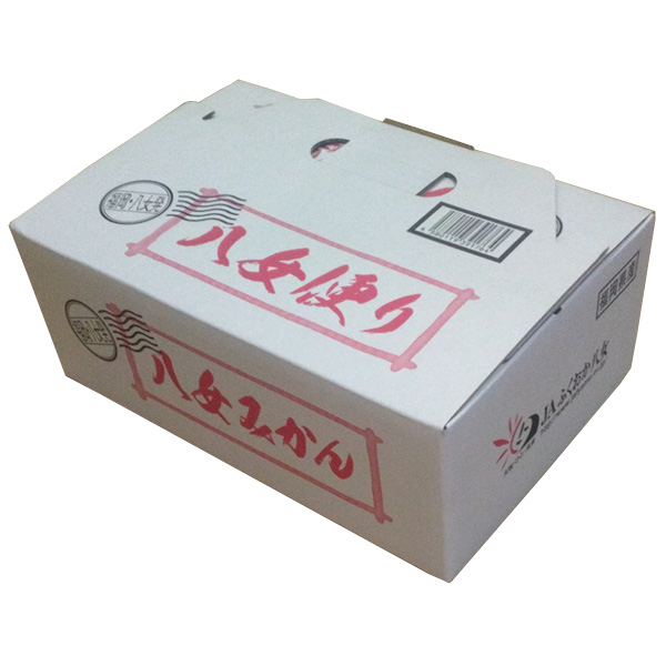 福岡県産 みかん 華たちばな プレミアム 3kg 糖度12度以上【お届け期間：11月15日〜11月30日】【オクトーバーフェスト】【おいしいお取り寄せ】　商品画像1