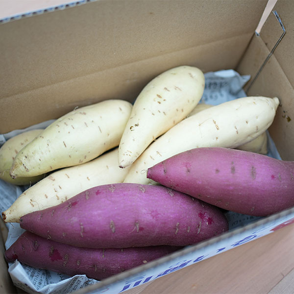埼玉県産(富の川越いも) さつまいも 紅白セット 計3kg【限定100点】【お届け期間：12月1日〜12月25日】【オクトーバーフェスト】【おいしいお取り寄せ】　商品画像1