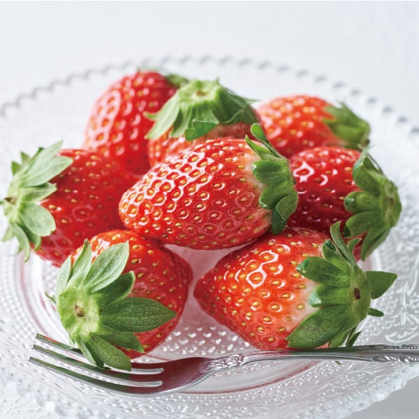 茨城県産 JAほこた なだろういちご(とちおとめ) 4パック入り【お届け期間:1月15日〜2月28日】【KN】 商品画像1