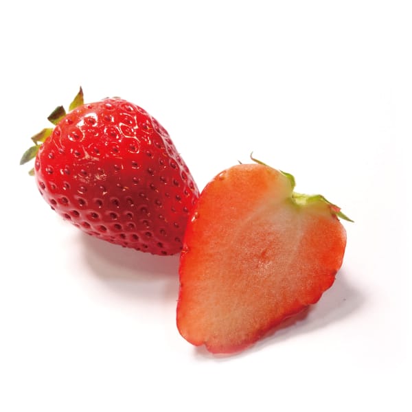 茨城県産 JAほこた なだろういちご(とちおとめ)大粒 4パック【お届け期間:1月15日〜2月28日】【KN】 商品画像1