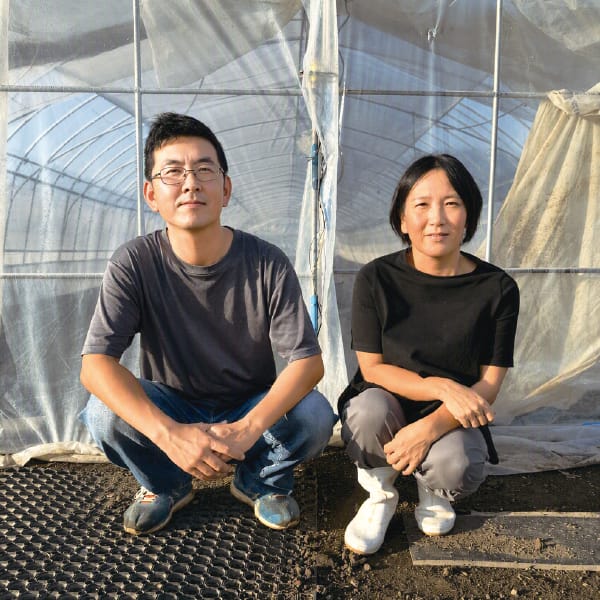 栃木県産 プレミアムいちご会 大粒いちご(とちおとめ) 250g入×2パック【お届け期間:1月7日〜3月31日】【KN】 商品画像1