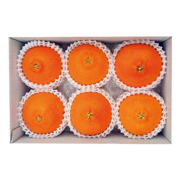 愛媛県産 紅まどんな(お届け期間：11/25〜12/31)【冬の贈りもの・お歳暮】　商品画像1